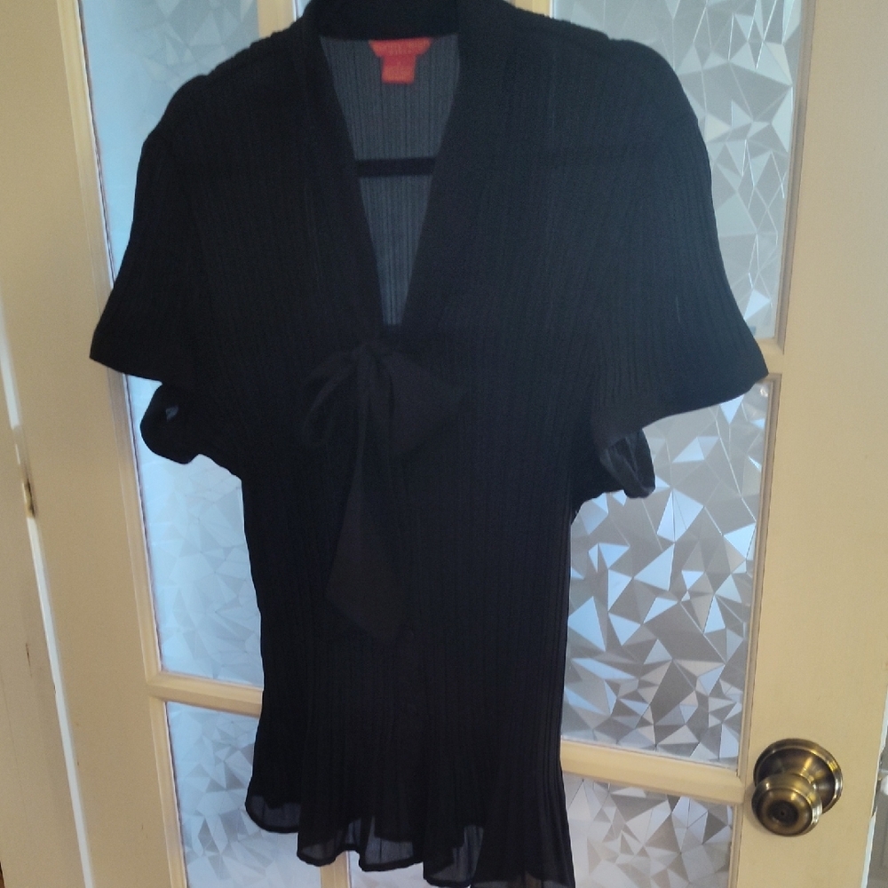 Sunny Leigh Elegant Sheer Black Women's Top